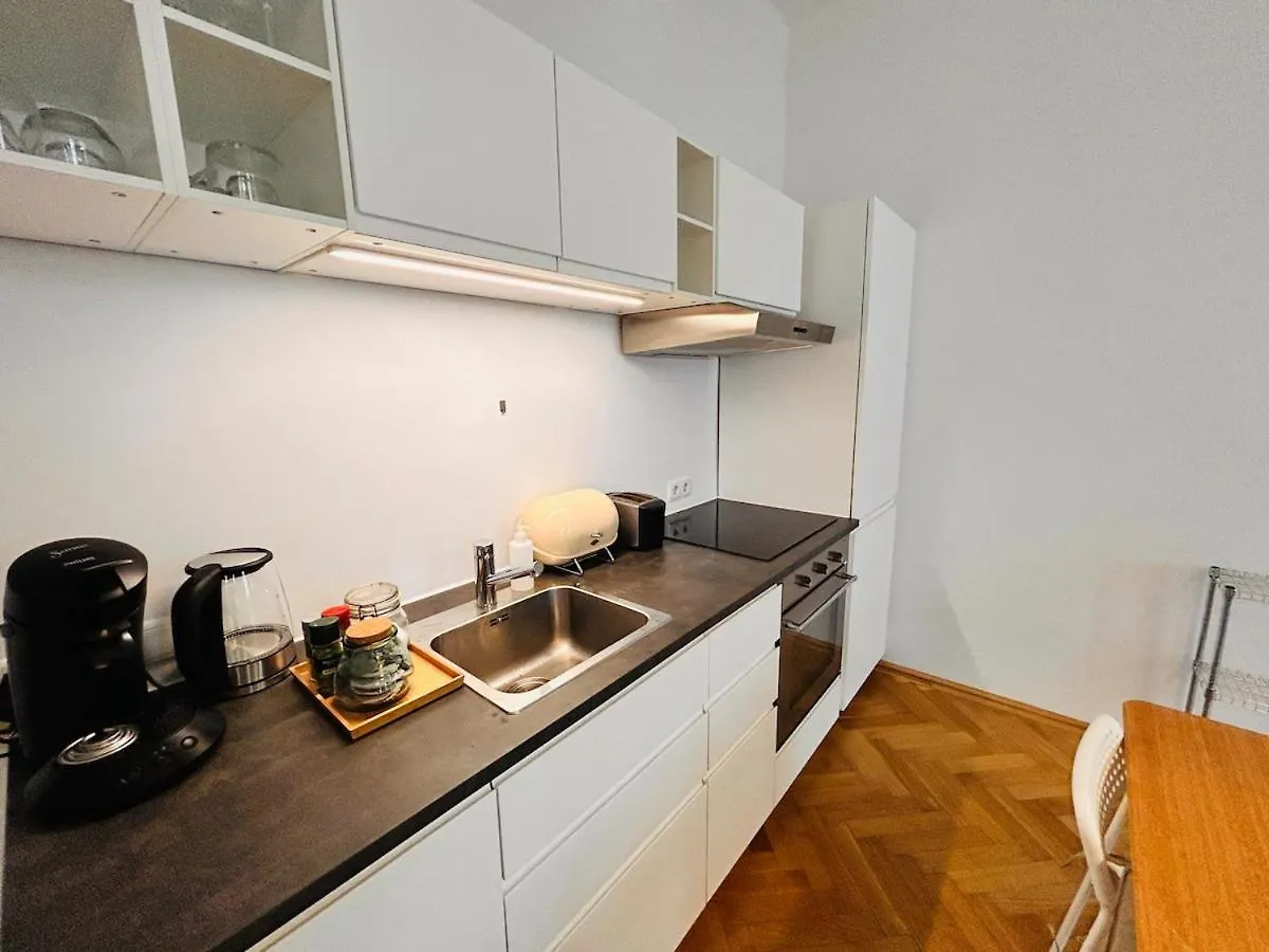 Small & Fine Apartment Near Akh Vienna