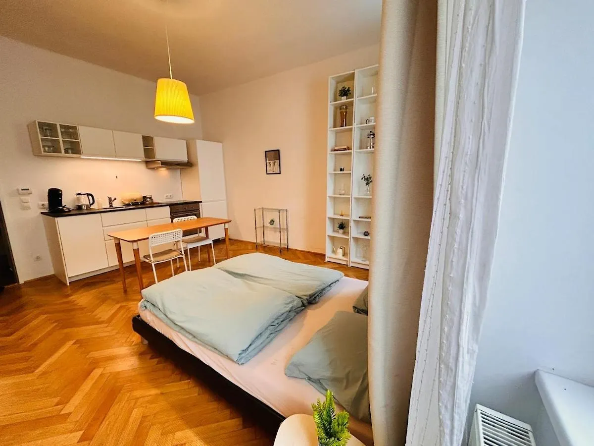 Small & Fine Apartment Near Akh Vienna