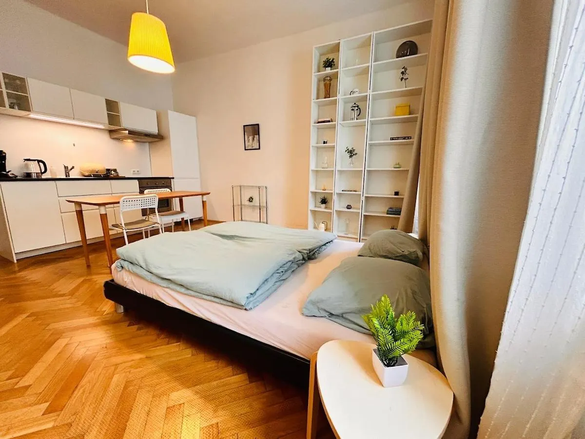 Small & Fine Apartment Near Akh Vienna Austria