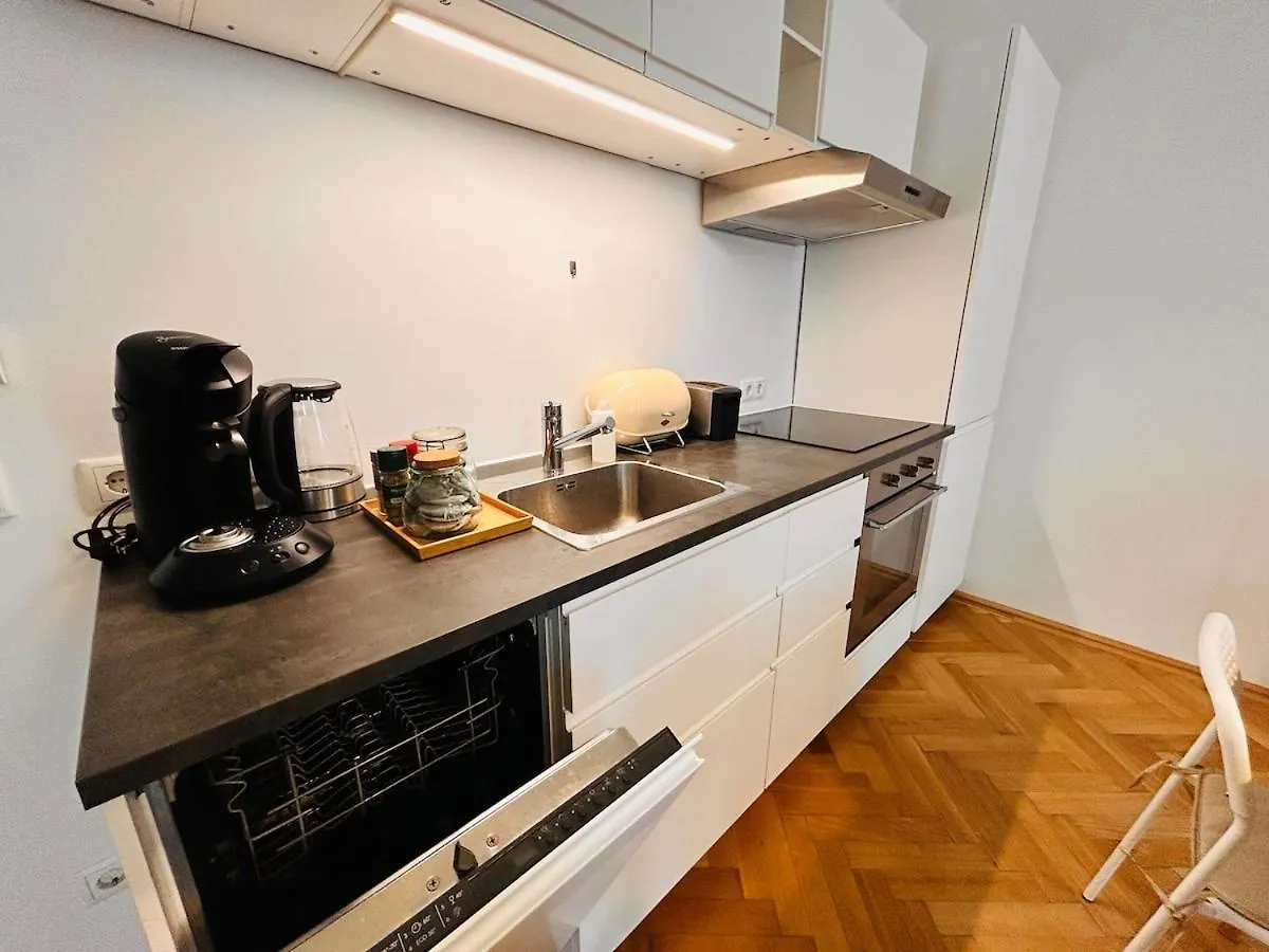 Small & Fine Apartment Near Akh Vienna