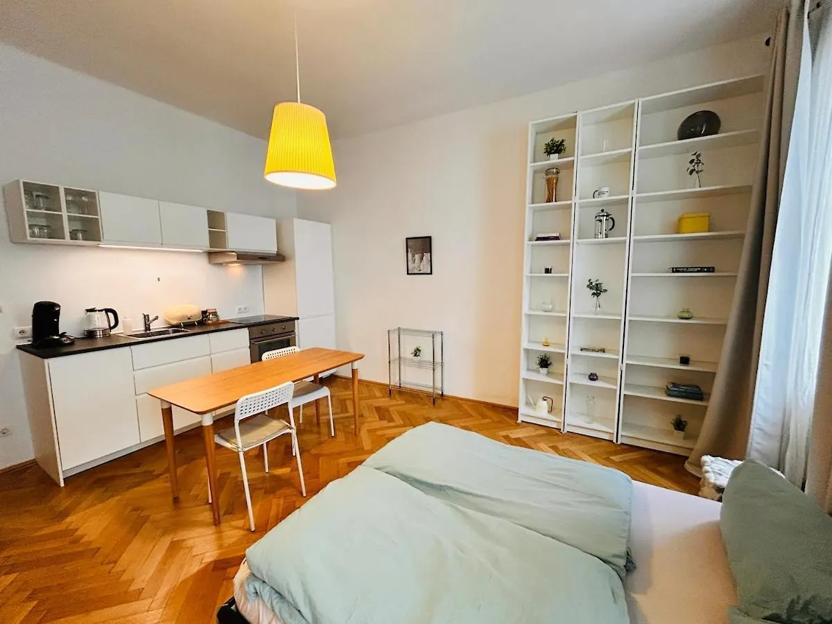 Small & Fine Apartment Near Akh Vienna 0*,  Austria